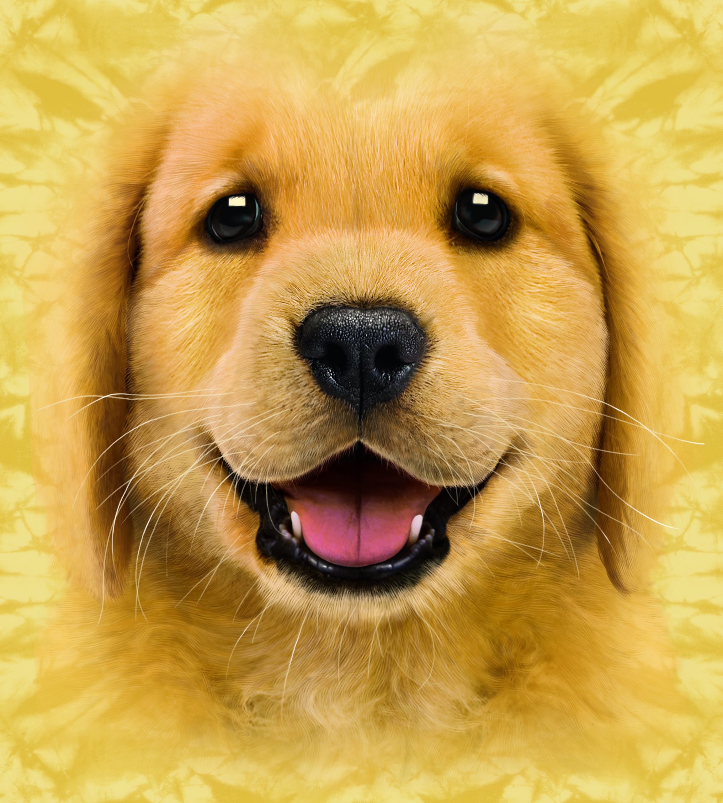 Golden retriever t shirts online best sale